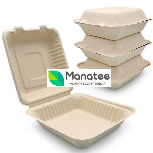 1 Compartment Biodegradable Food Container - Select Color