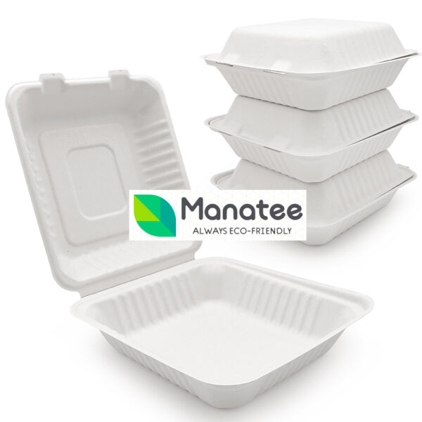 1 Compartment Biodegradable Food Container - Select Color - Image 2